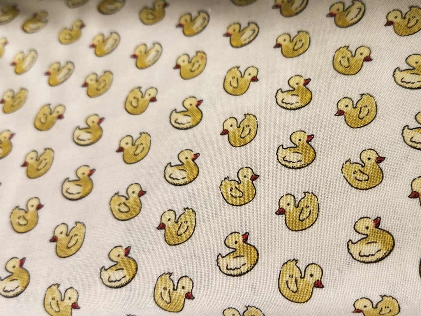 Everyday Sponge Fabrics