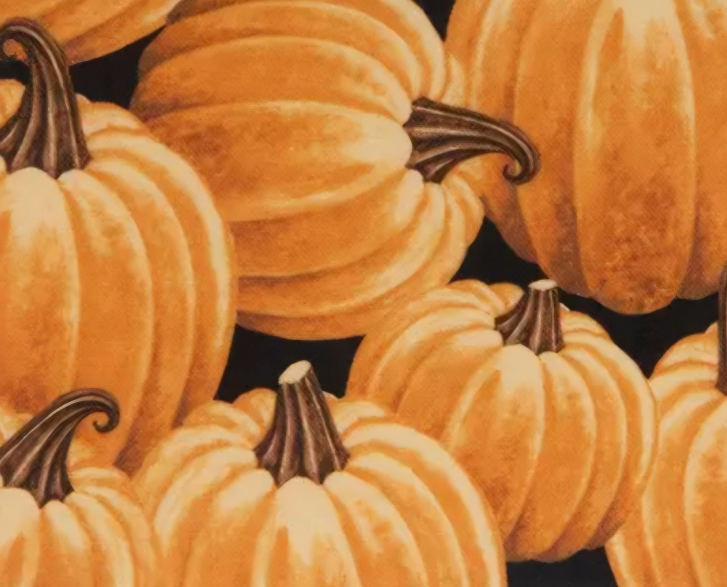 Fall Fabric Options