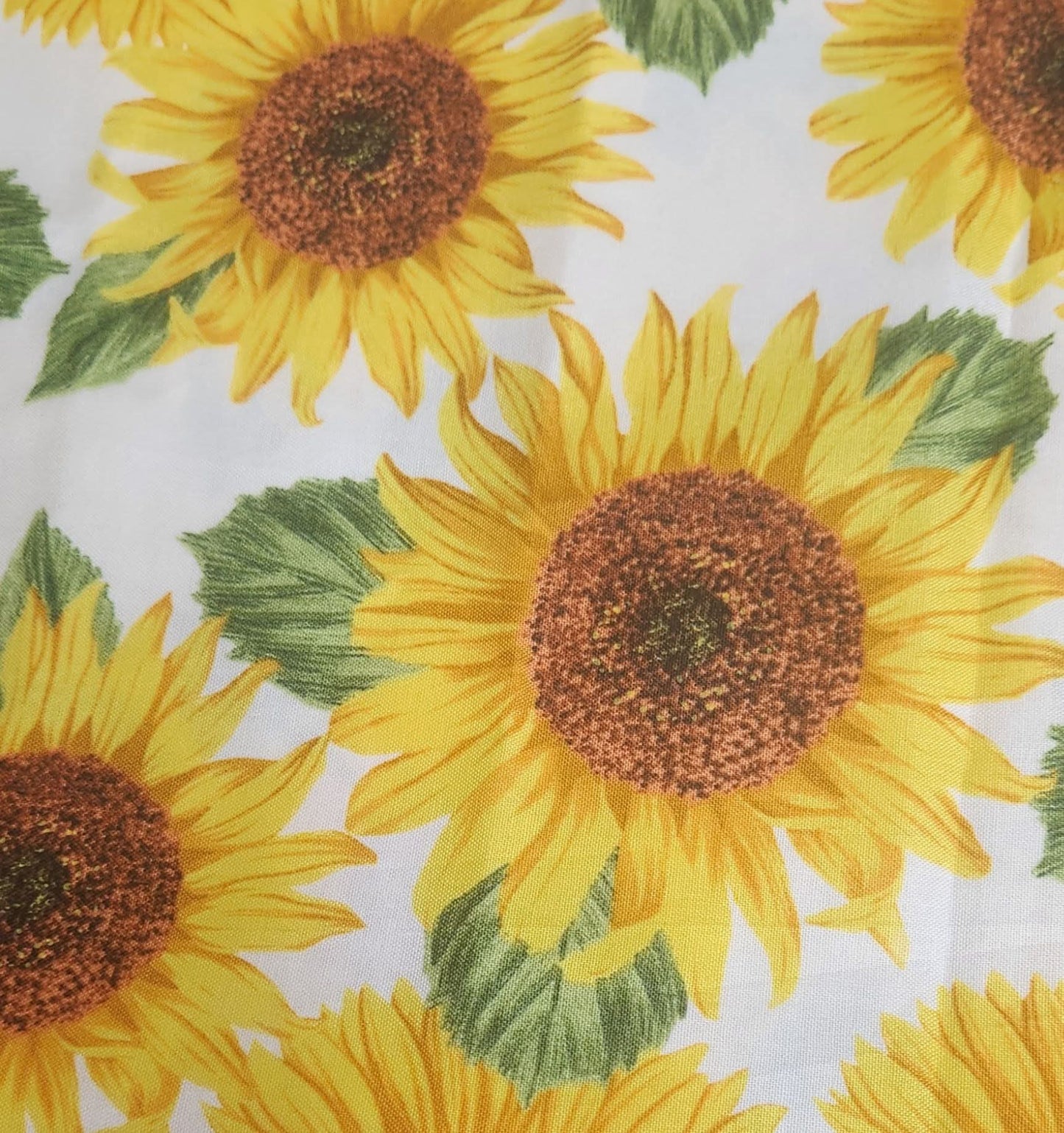 Everyday Sponge Fabrics