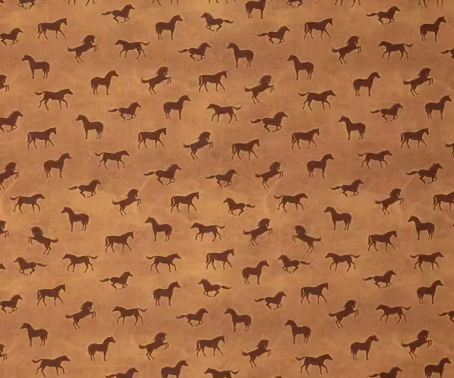 Everyday Sponge Fabrics