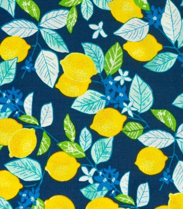 Everyday Sponge Fabrics
