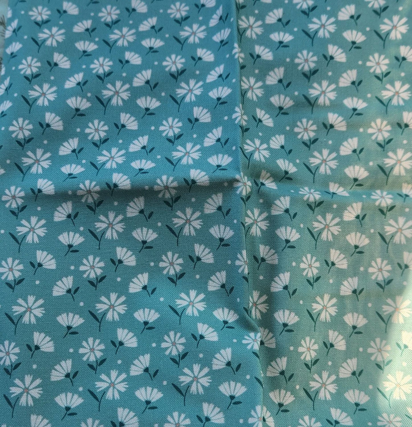 Everyday Sponge Fabrics