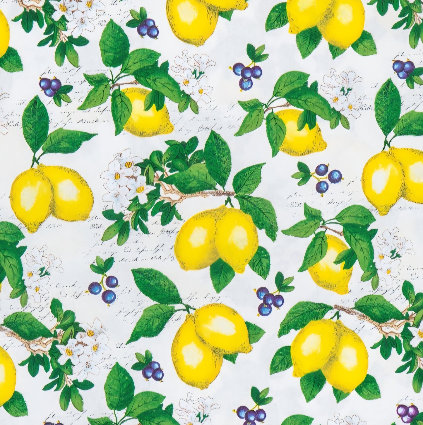 Everyday Sponge Fabrics