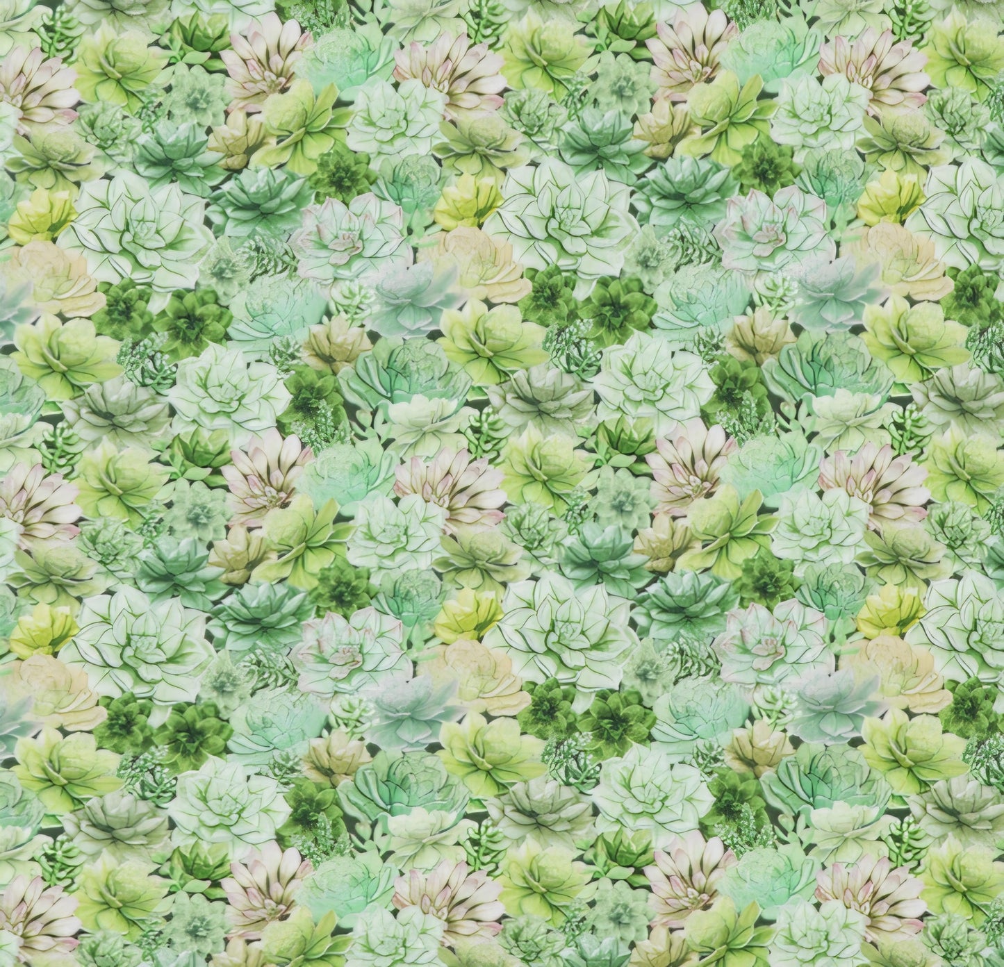 Everyday Sponge Fabrics