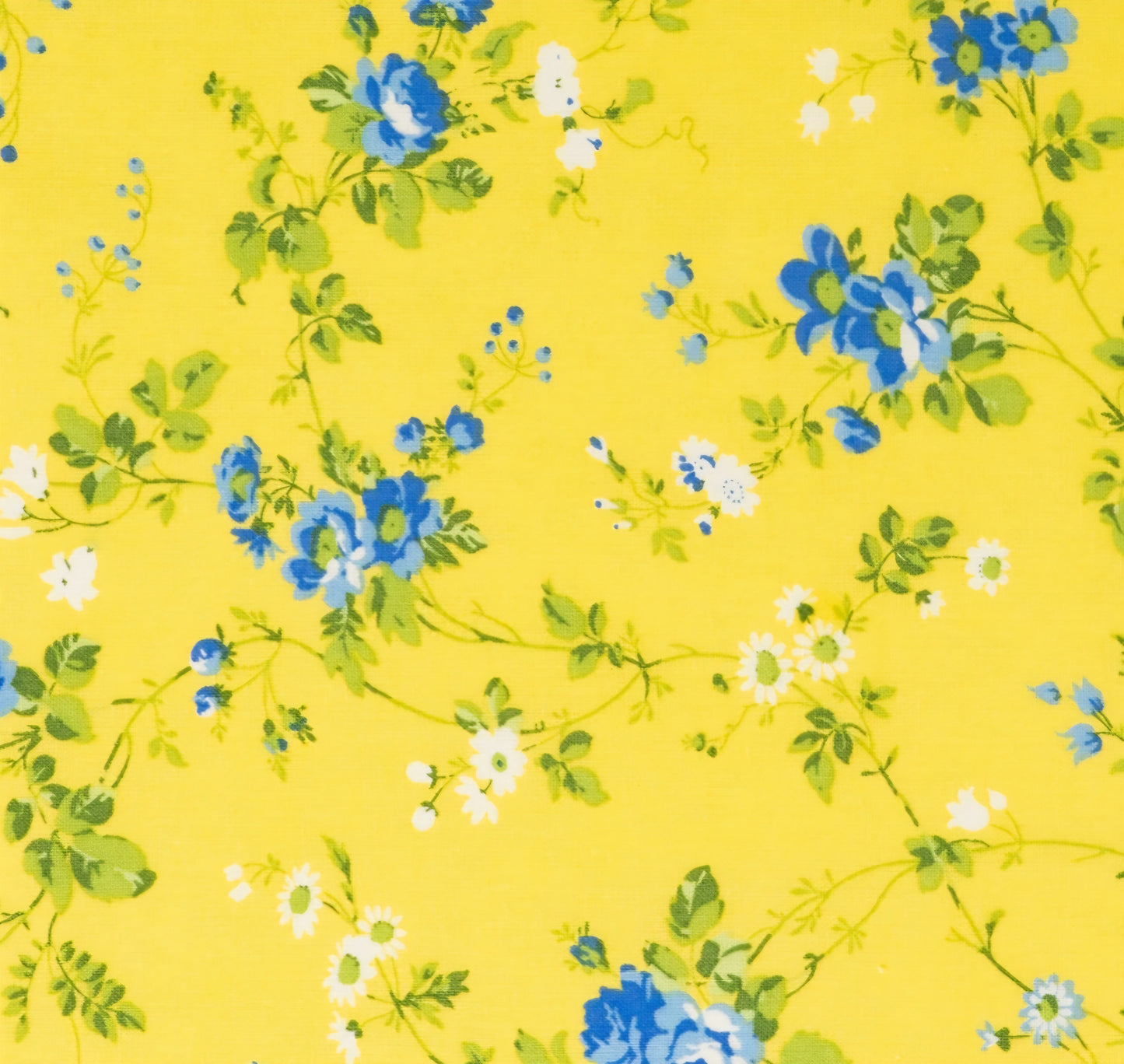 Everyday Sponge Fabrics