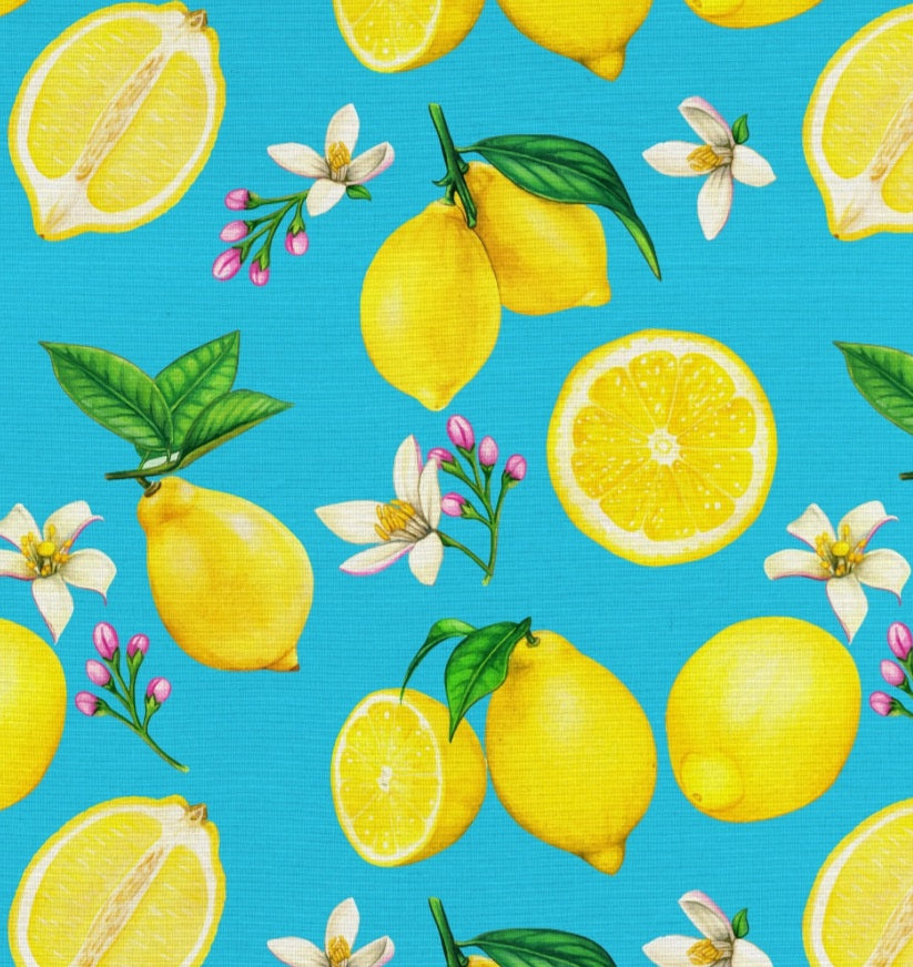 Everyday Sponge Fabrics