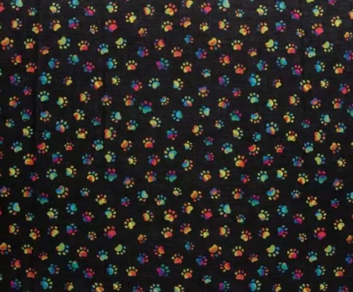 Everyday Sponge Fabrics