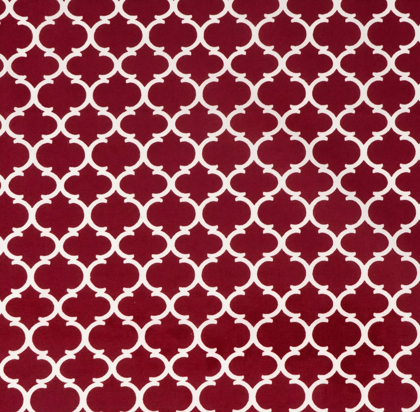 Everyday Sponge Fabrics