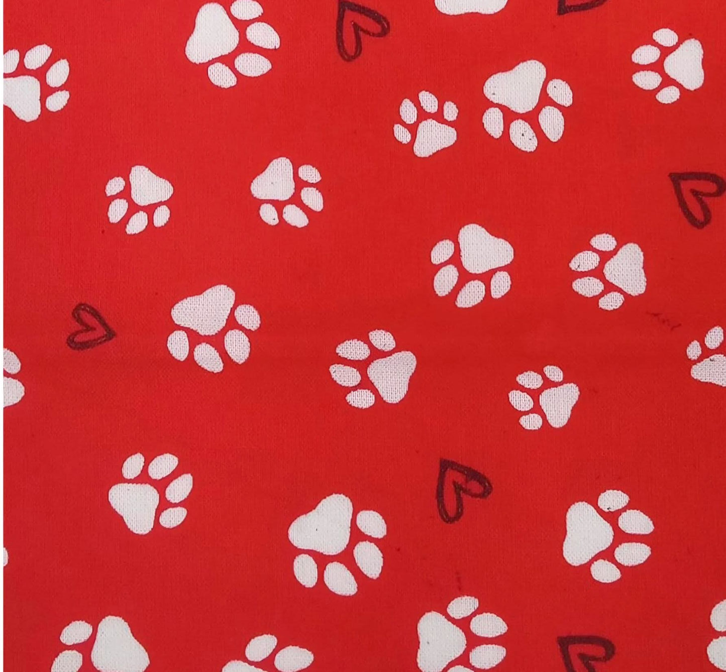 Everyday Sponge Fabrics
