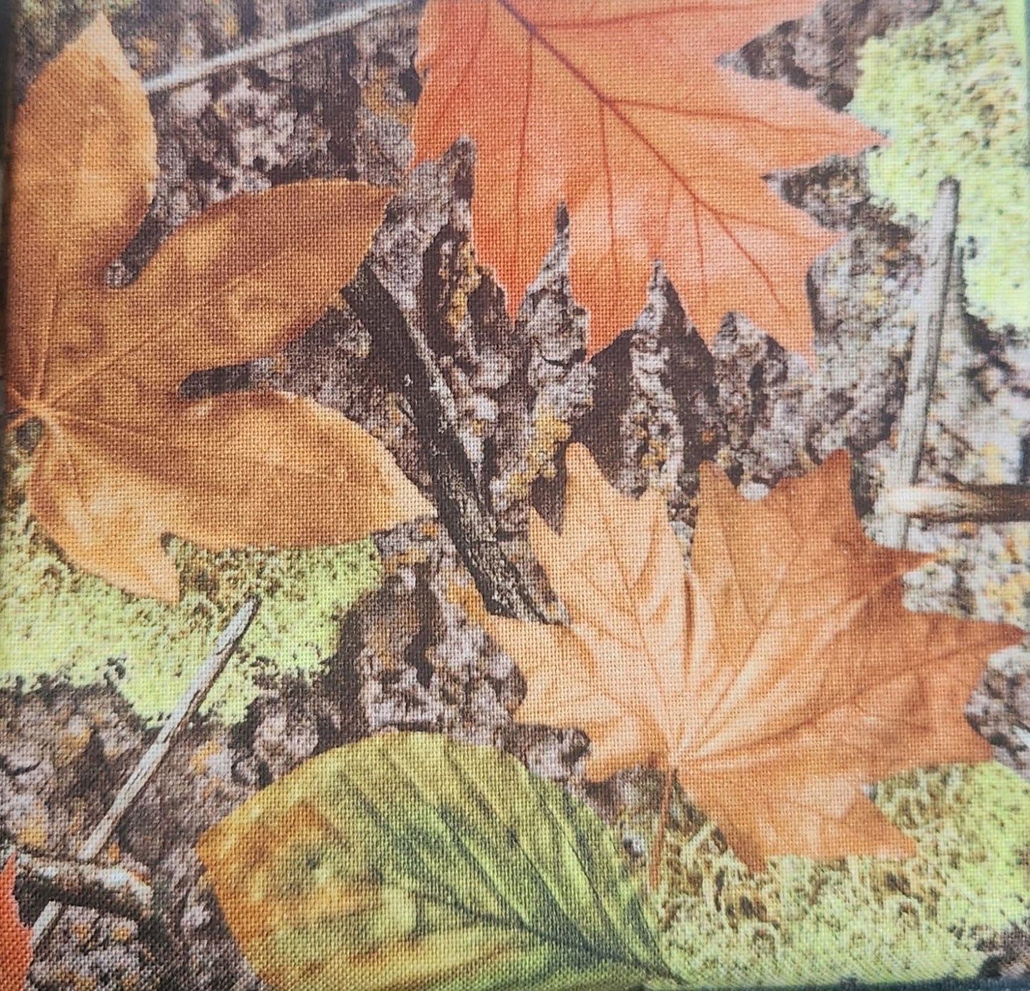 Everyday Sponge Fabrics